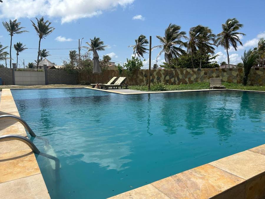 Piscina coqueiros vento